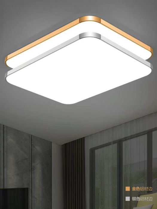 現代簡約 客廳臥室 北歐冷淡風 吸頂燈